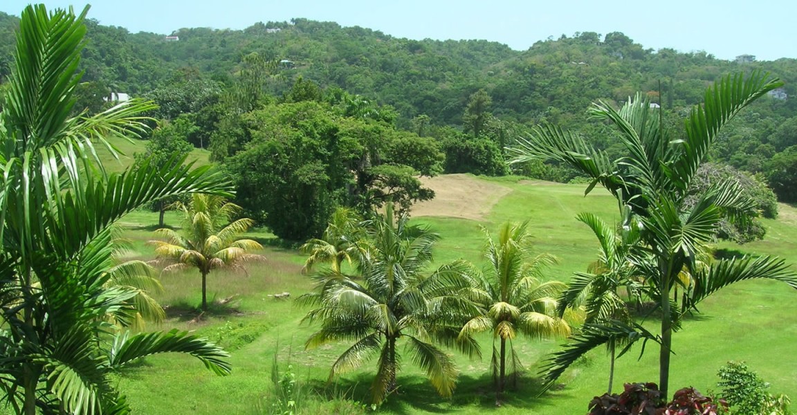 Lots For Sale In Jamaica