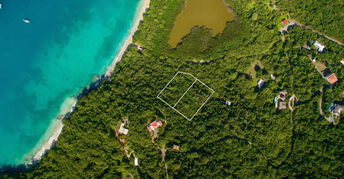 Us virgin island buisiness for sale think, that Us virgin island buisiness for sale consider, that