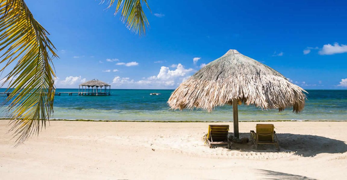 Palmetto Commercial Properties Palmetto Commercial Properties
