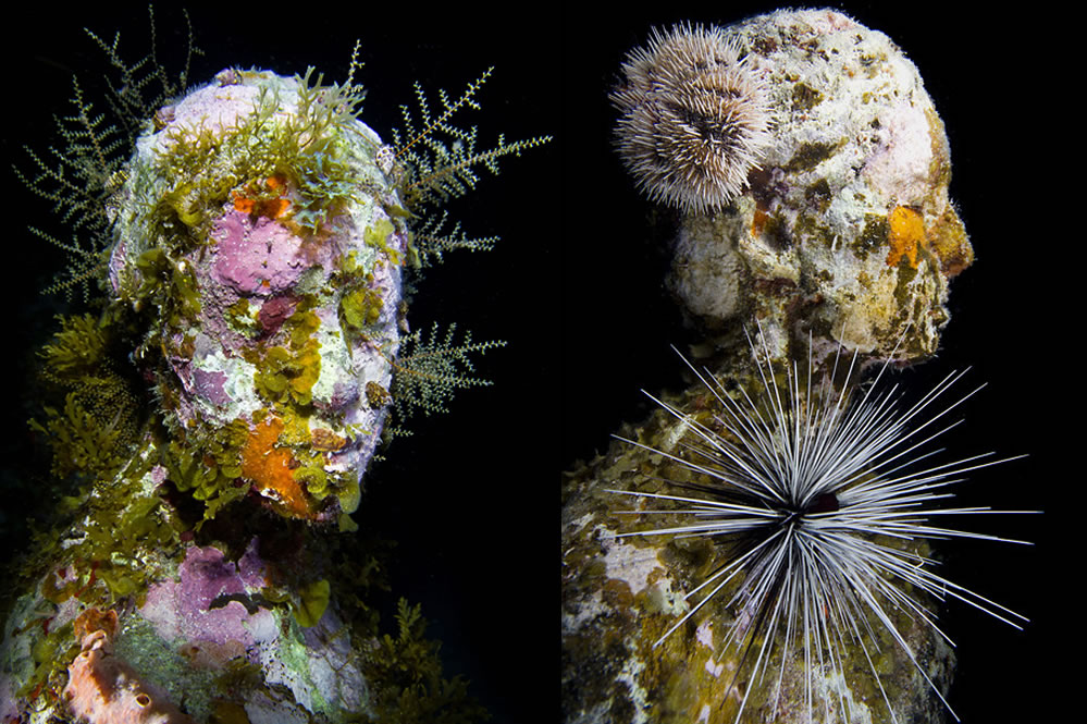 The Silent Evolution, MUSA Collection, Cancun/Isla Mujeres, Mexico, image courtesy of Jason deCaires Taylor