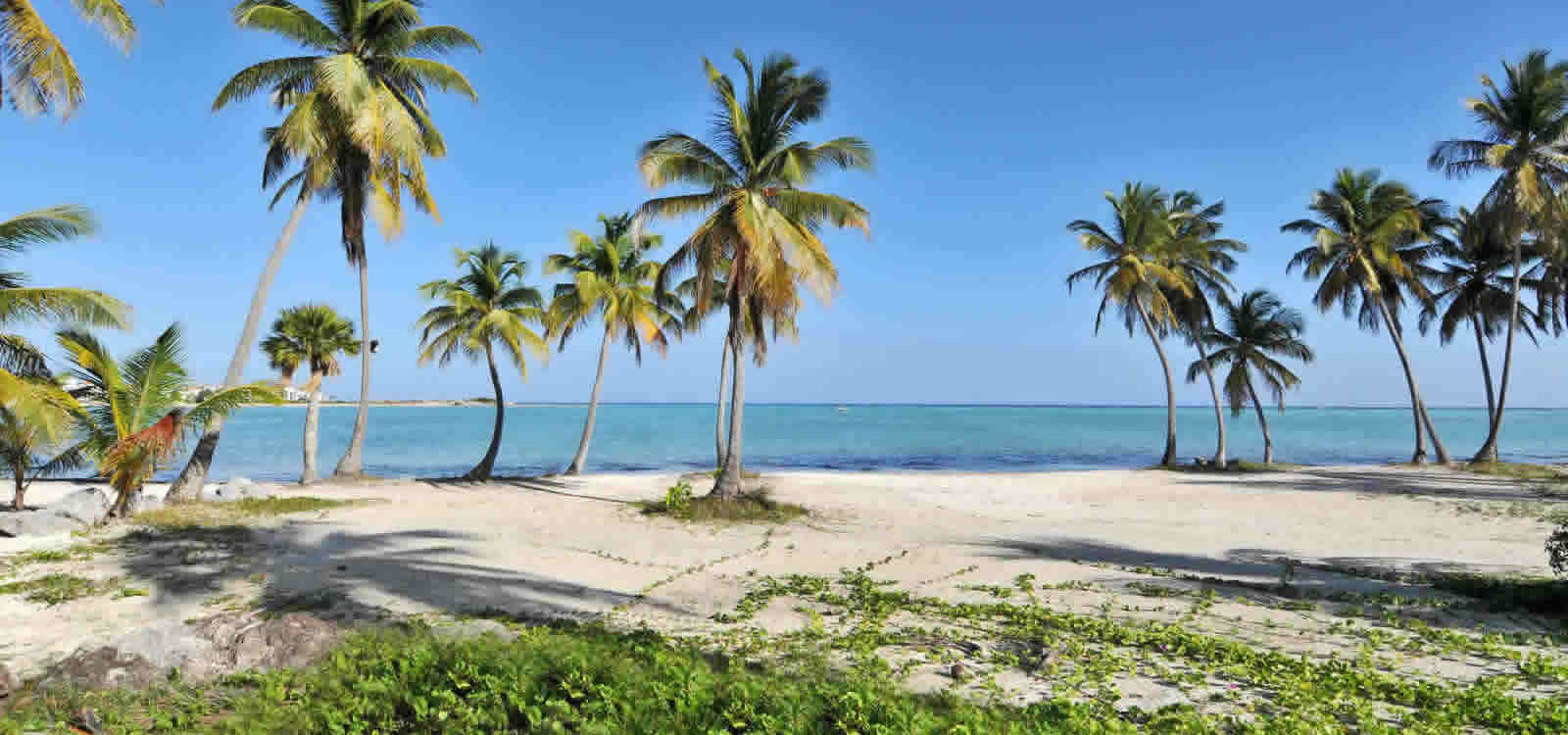 Beachfront Lots Of Land For Juanillo Beach Cap Cana Beachfront Lots Of Land For Juanillo Beach Cap Cana Dominican Republic 7th Heaven Properties
