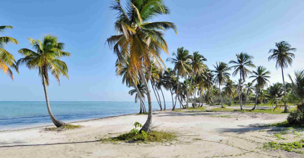 Beachfront Lots Of Land For Juanillo Beach Cap Cana Beachfront Lots Of Land For Juanillo Beach Cap Cana Dominican Republic
