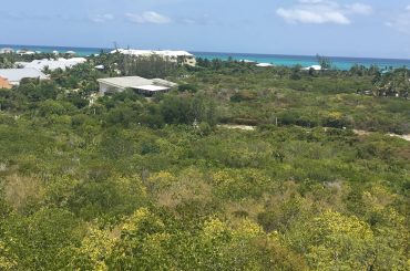 caicos turks