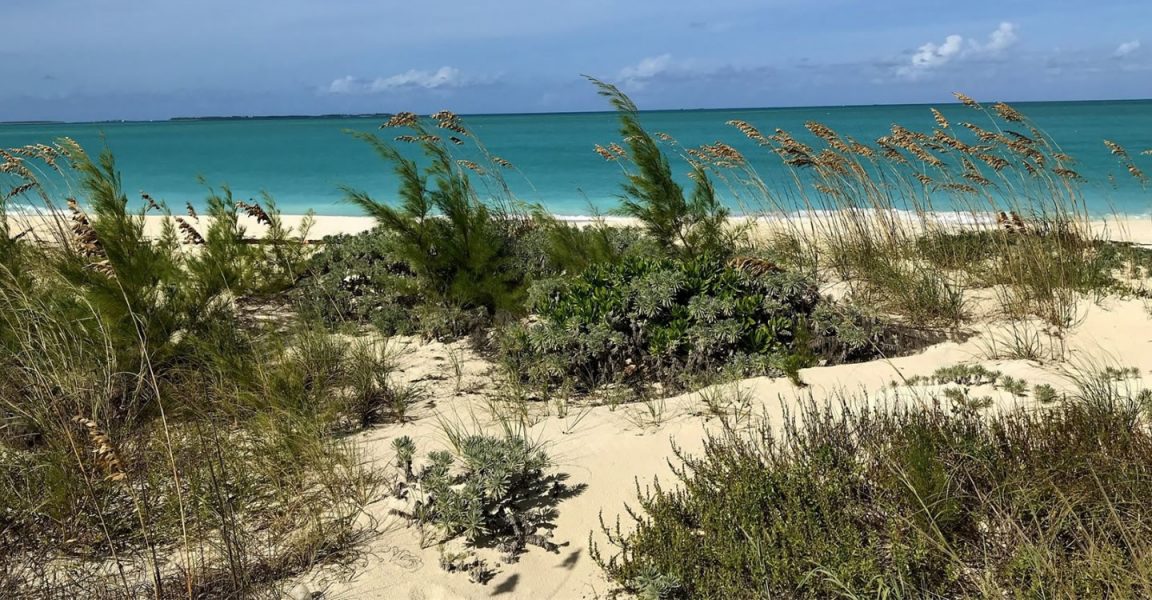 Treasure Island Beachfront Property For Sale Treasure Island Beachfront Property For Sale