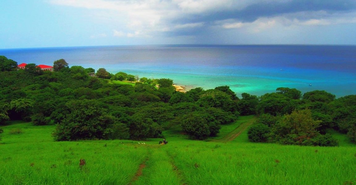 52 Acres of Beachfront Land for Sale, Butler Bay, St Croix, US Virgin