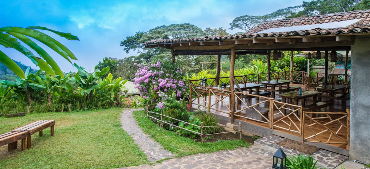 Coffee farm for sale in Nicaragua