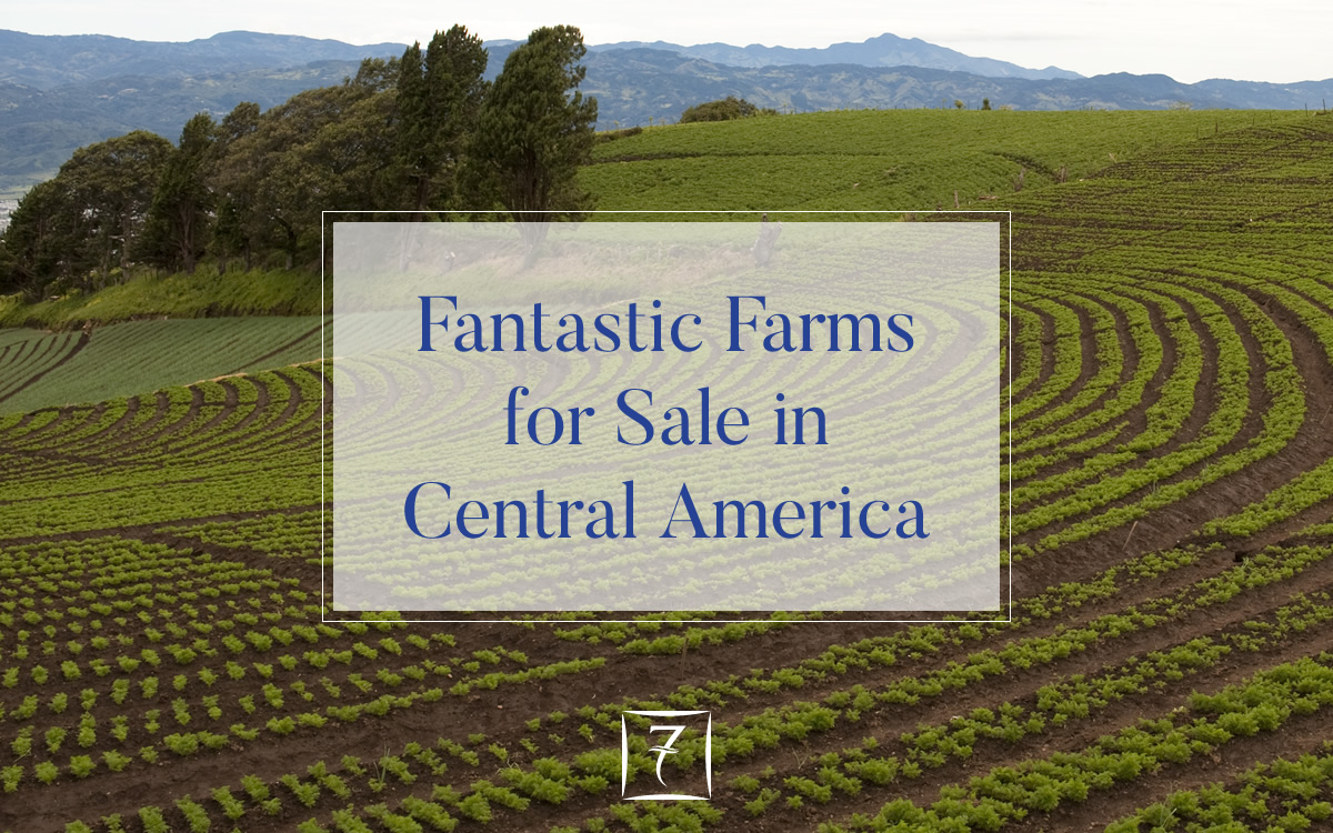 Fantastic farms for sale in Central America