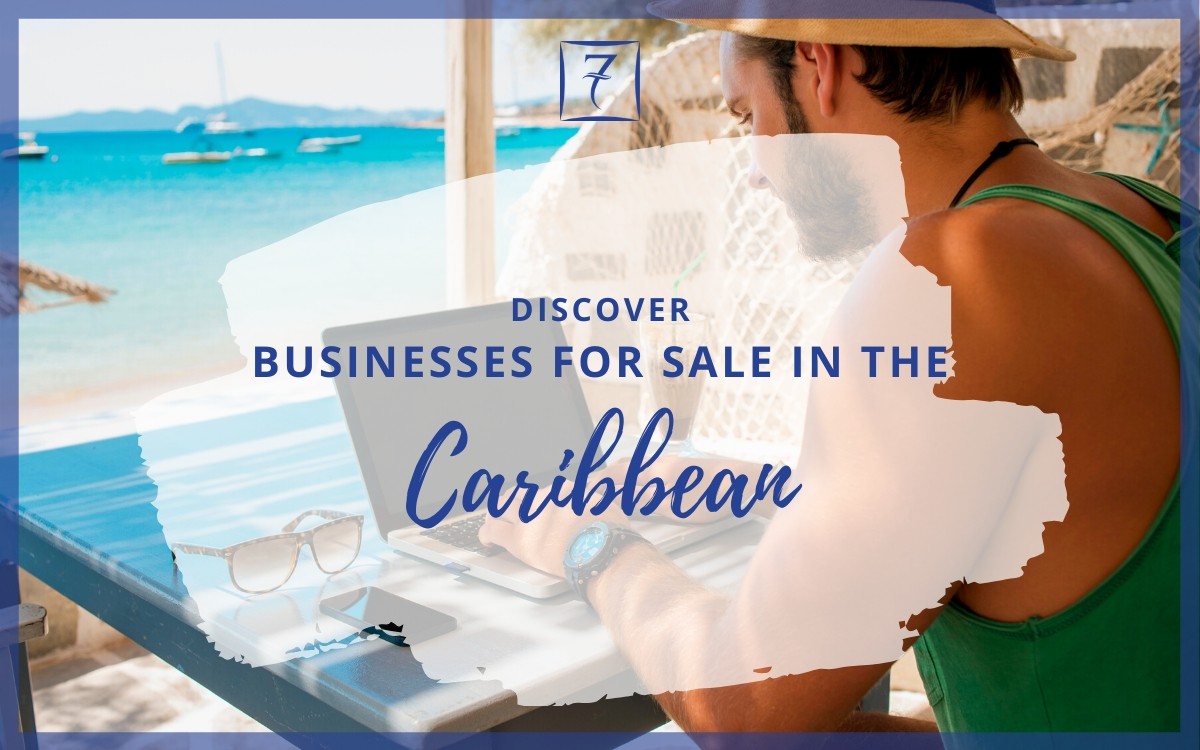 travel businesses for sale