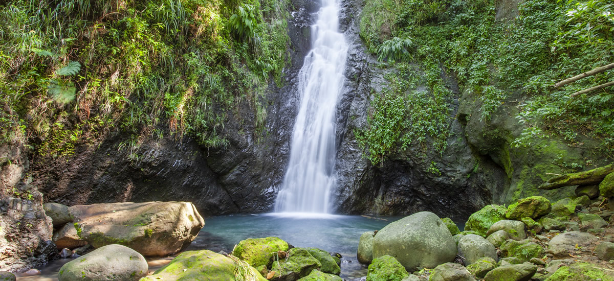 Au Coin Falls, Grenada