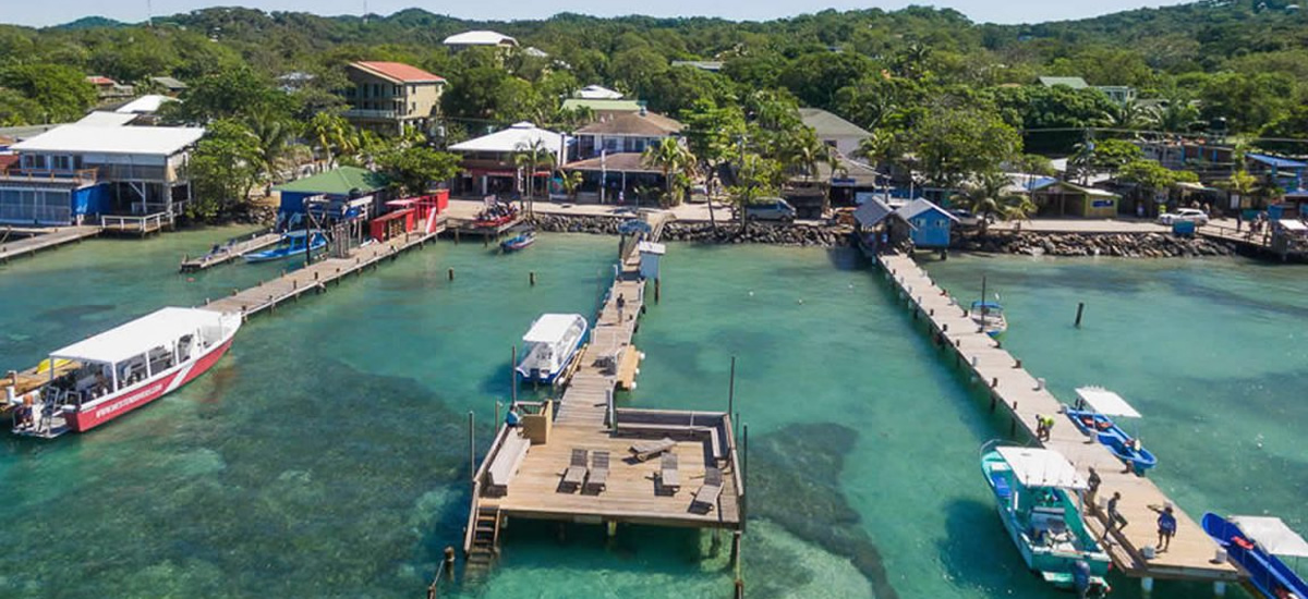 Dive resort for sale in West End