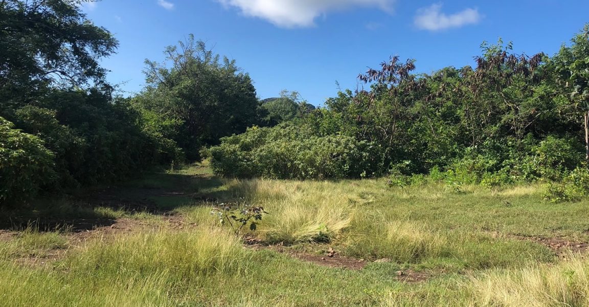 14 Acres of Land for Sale, Gingerland, Nevis 7th Heaven Properties
