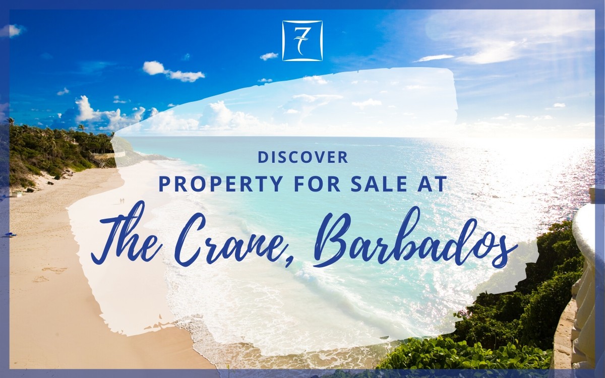 Discover property for sale at The Crane Barbados